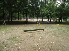 Course d'obstacles
